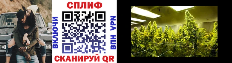 Бошки марихуана White Widow  Котельнич 